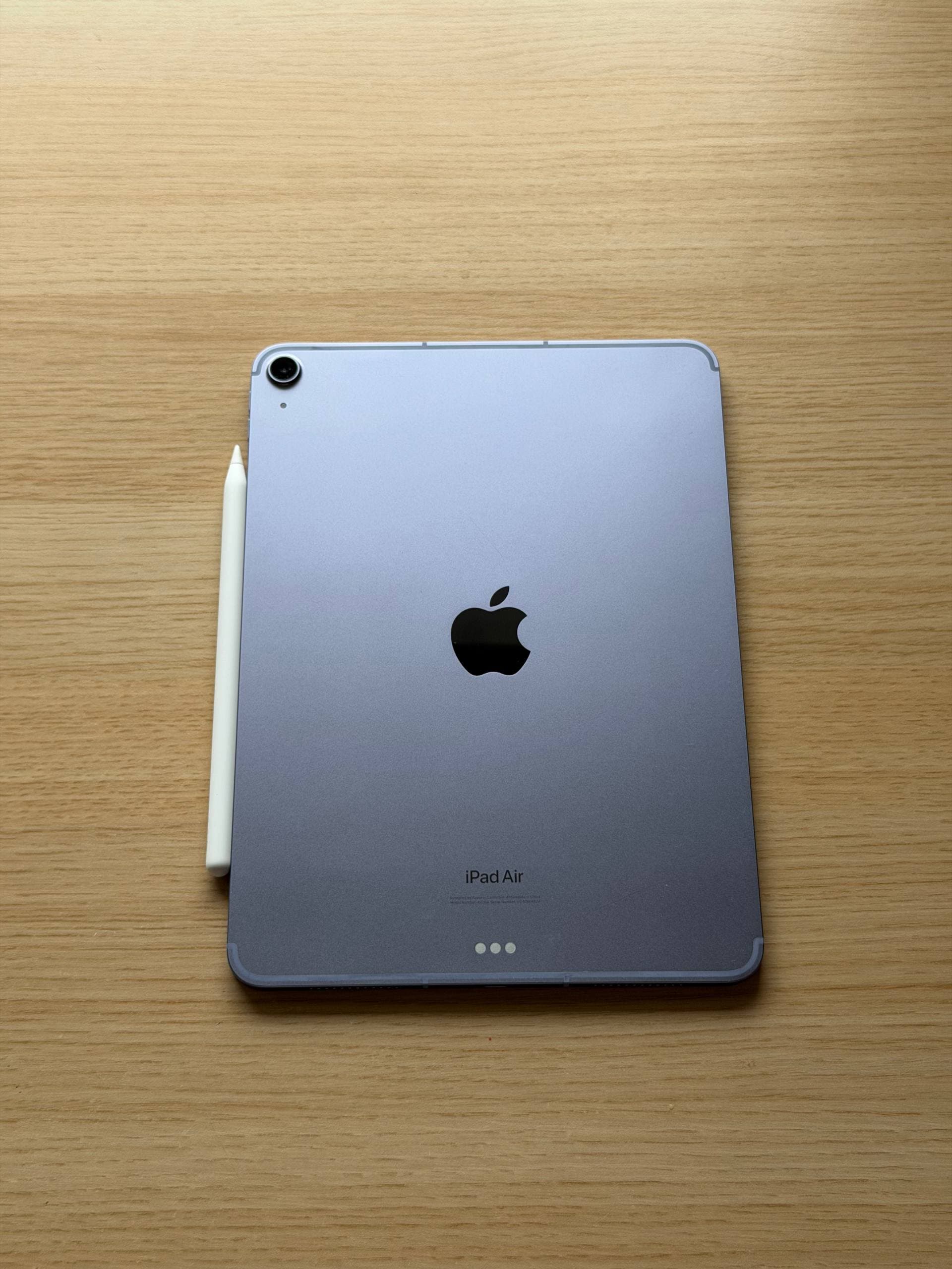 iPad Air 5 256 GB