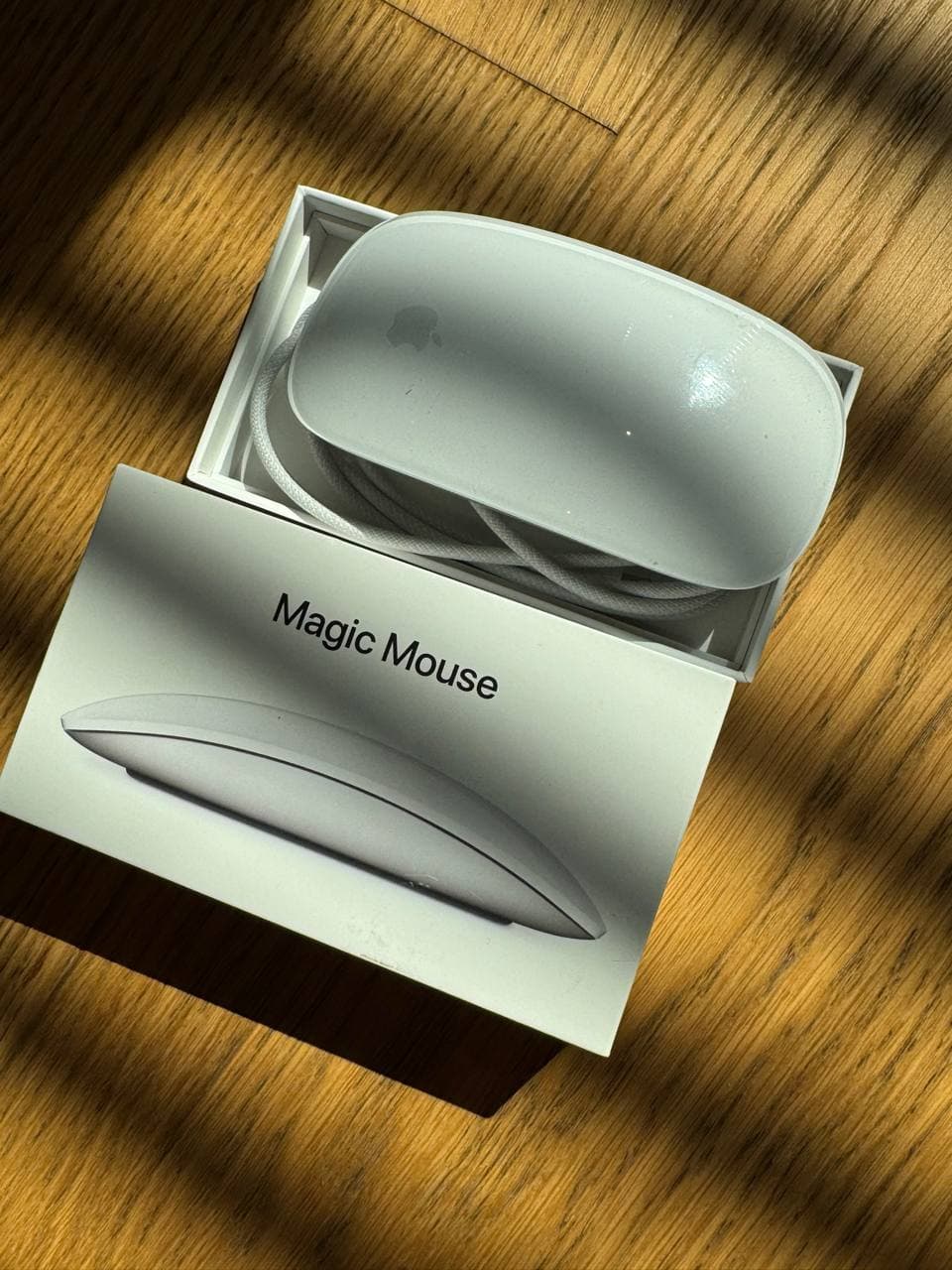 Apple Magic Mouse
