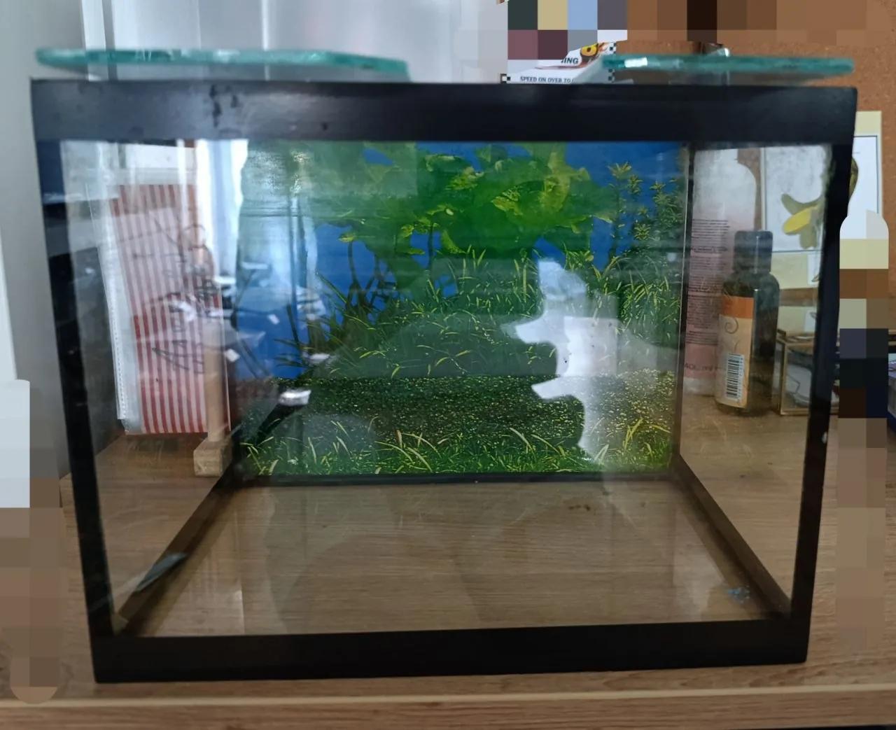 Аквариум 25×20×17 см Нови-Сад