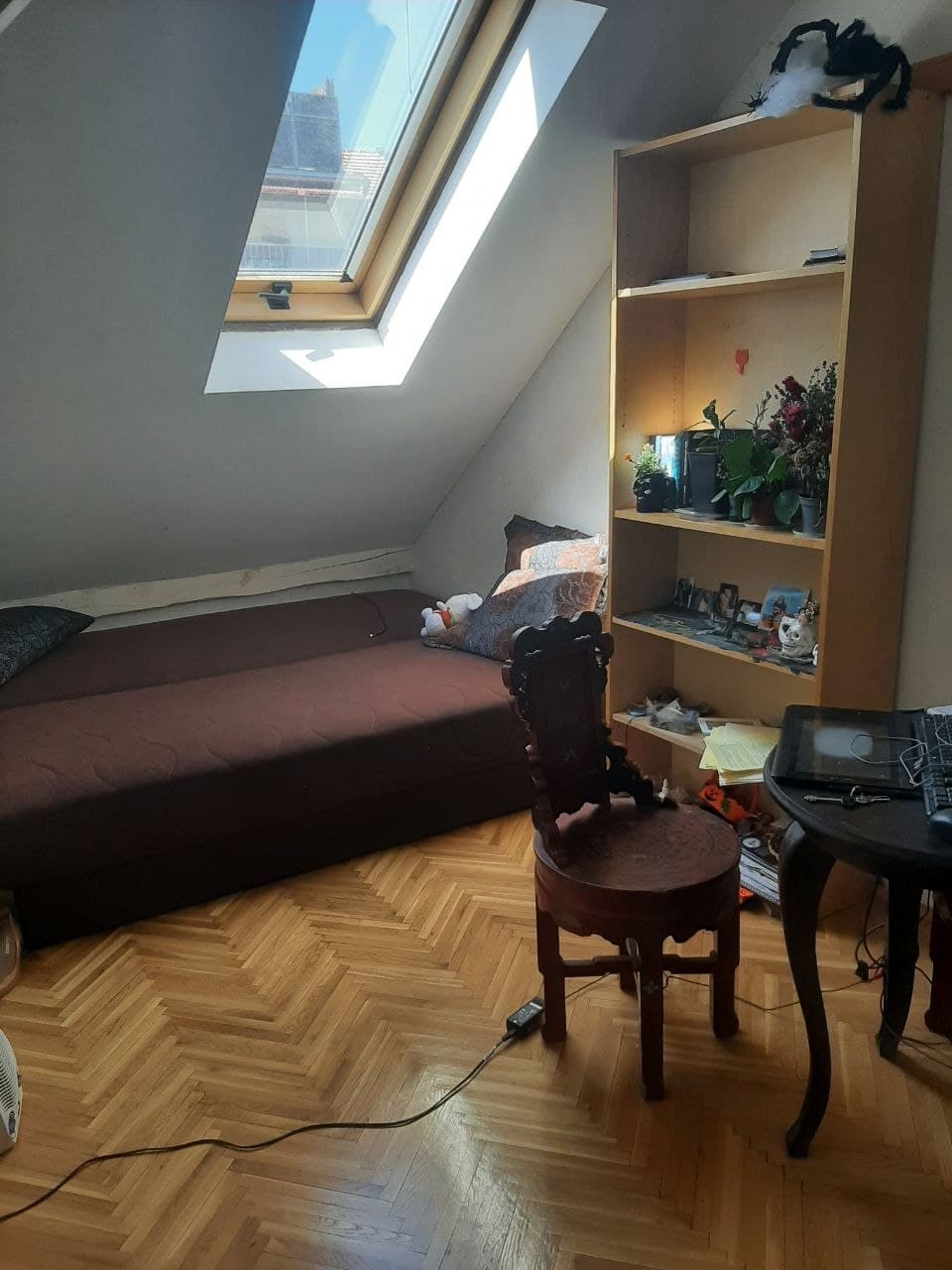 Комната в центре Белграда посуточно