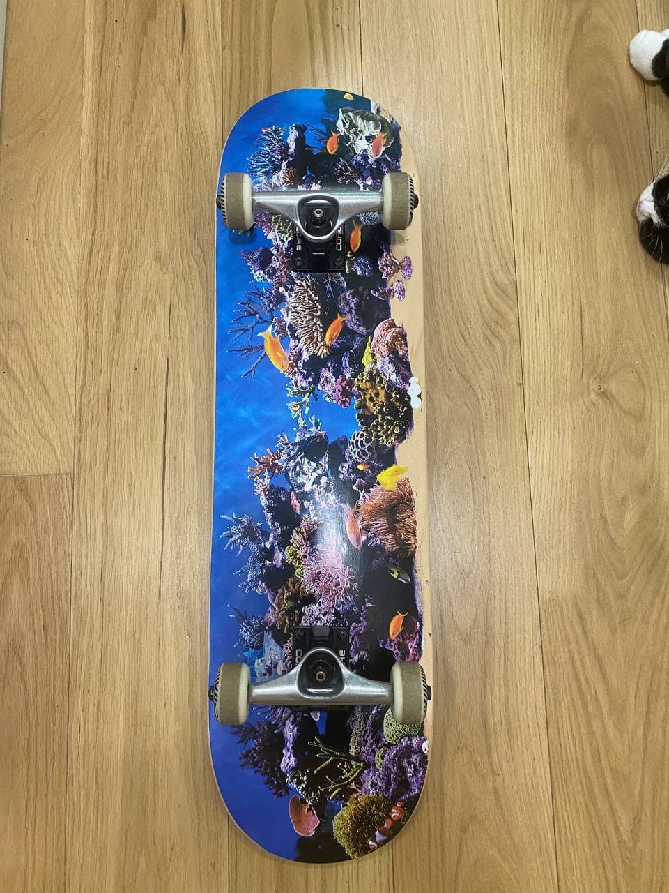 Скейтборд размер 8