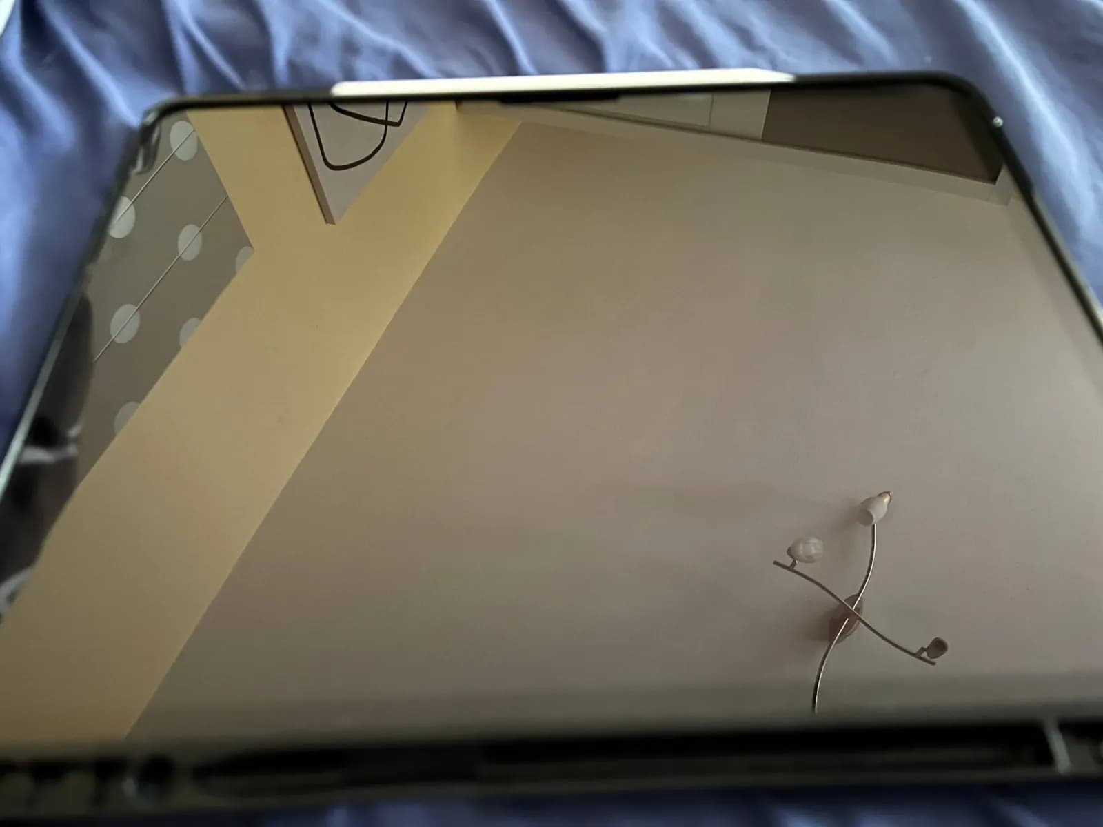 iPad Pro 13 M4 1TB Wi-Fi и Cellular