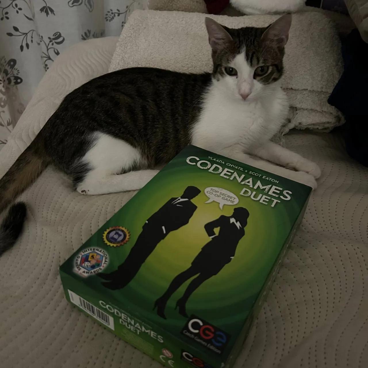Настольные игры Codenames и Монополия Гарри Поттер Белград