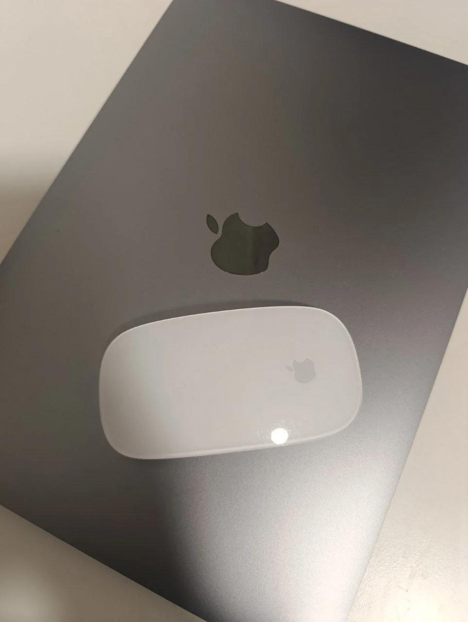 Apple Magic Mouse Multi-Touch