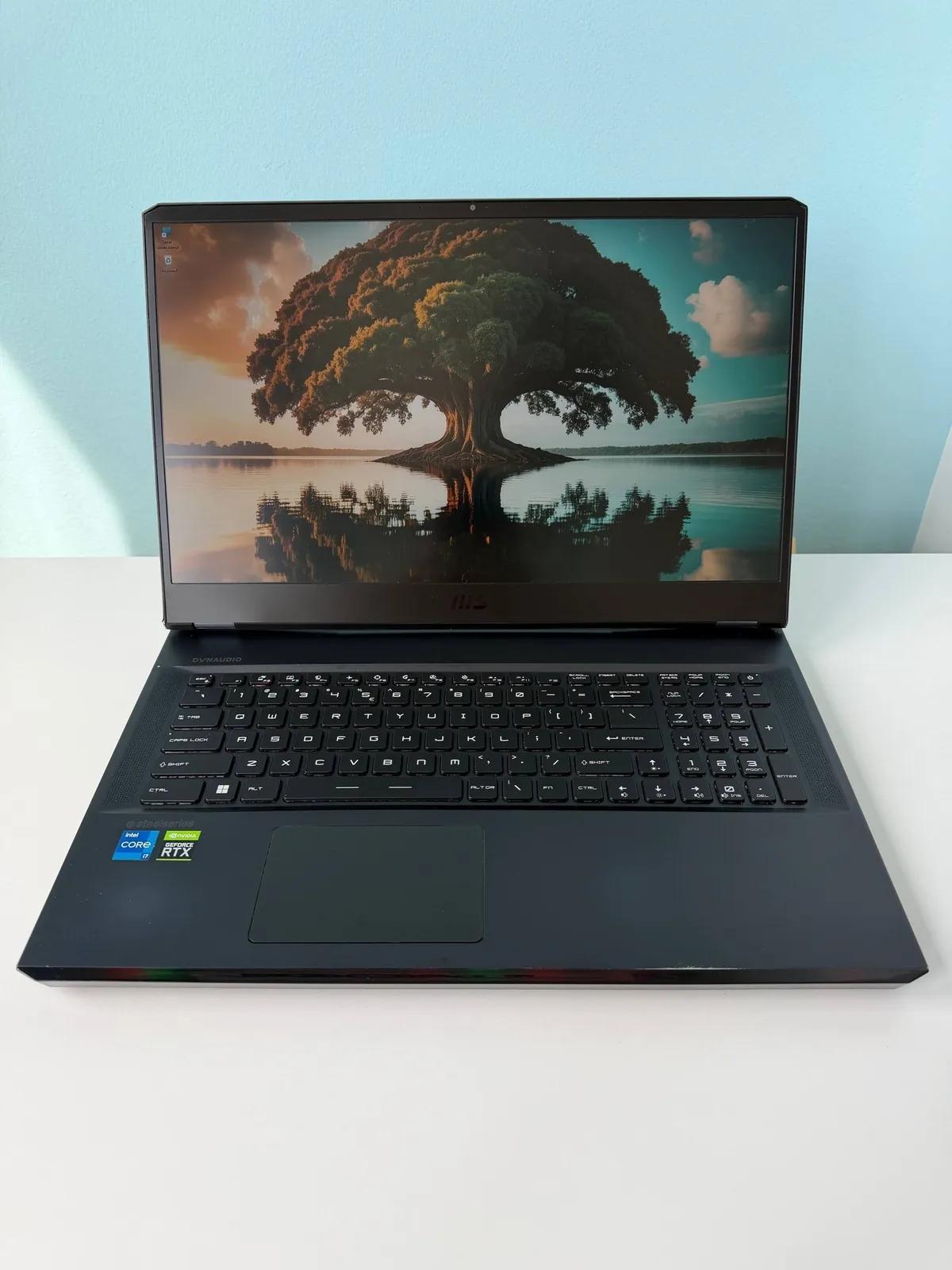 Ноутбук MSI Raider GE76 RTX 3060