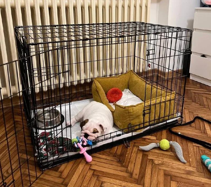 Клетка для щенка или небольшой собаки