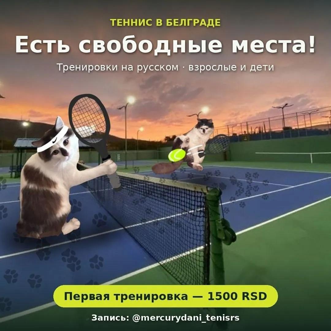 Тренер по теннису в Белграде