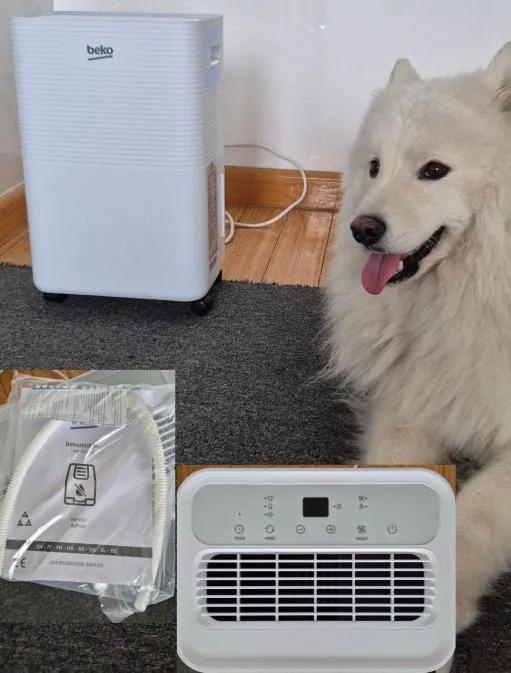 Осушитель воздуха BEKO BDP016 Белград