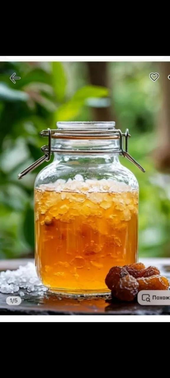 Индийский рис зооглея живая культура для напитка