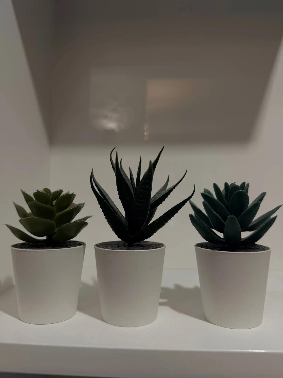 Искусственные декоративные цветы IKEA