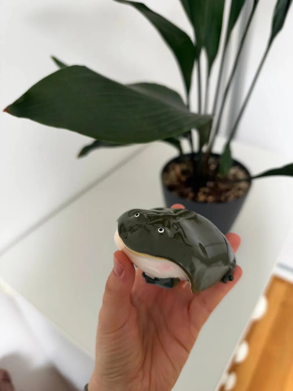 Чехол для AirPods Pro силиконовый в форме лягушки