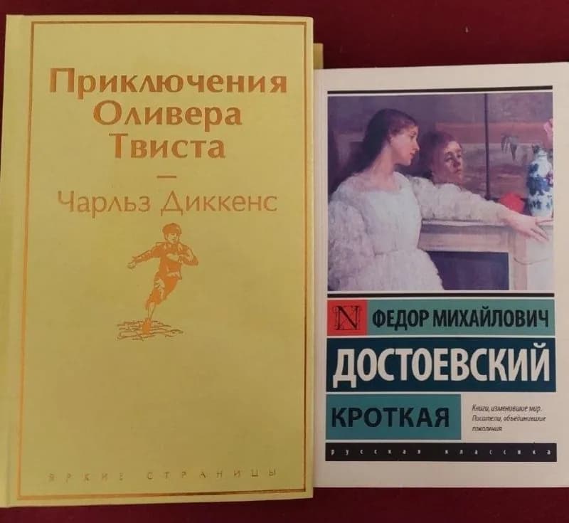 Книги: Диккенс и Достоевский