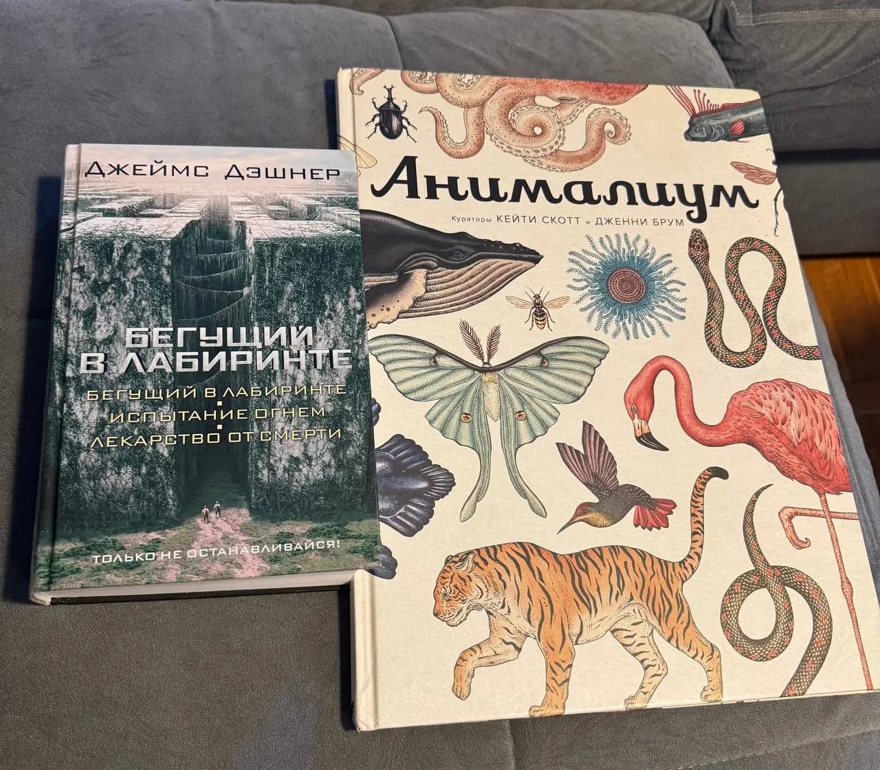 Книги: Анималиум и Бегущий в лабиринте