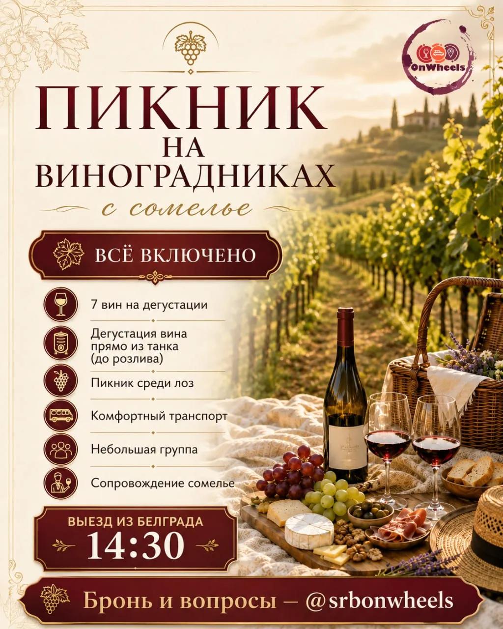 Винный пикник на виноградниках Сербии 10 июля 85 EUR