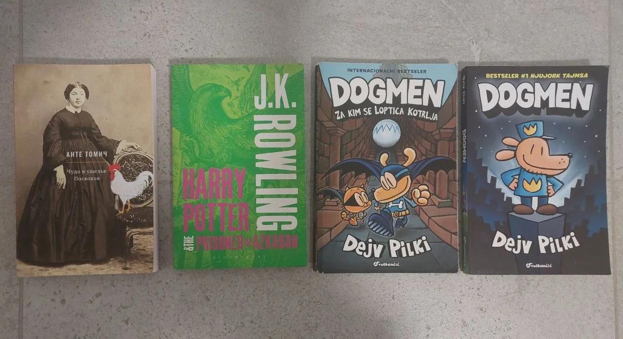 Книги Harry Potter Minecraft Dogmen и другие