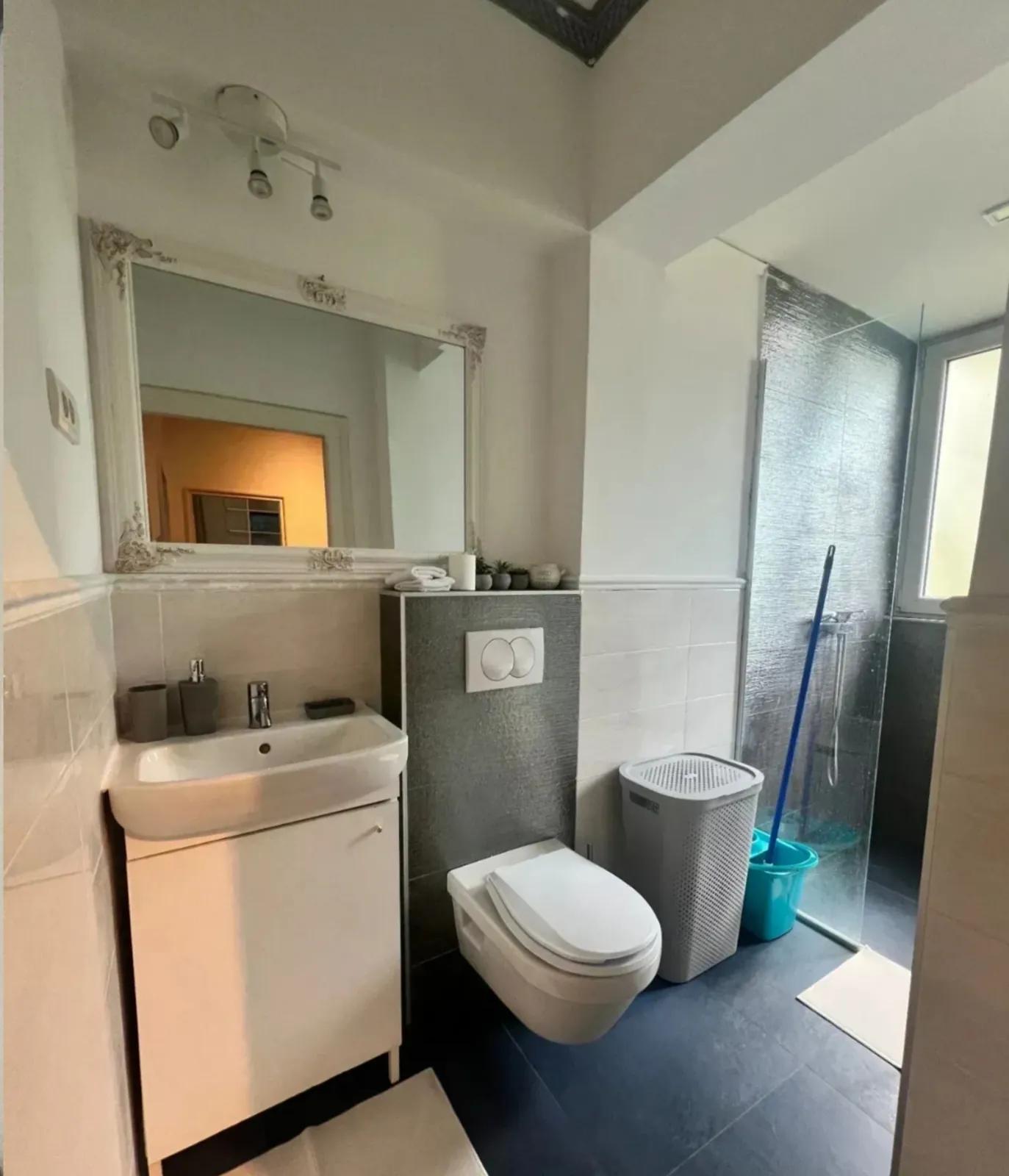 2-комнатная квартира аренда Врачар 800 EUR