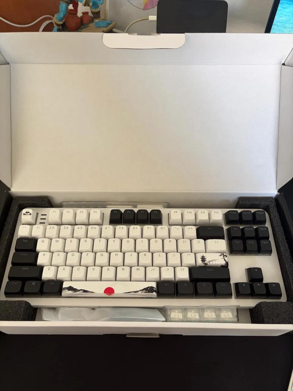 Две механические клавиатуры RK N80 и Dark Project Fuji