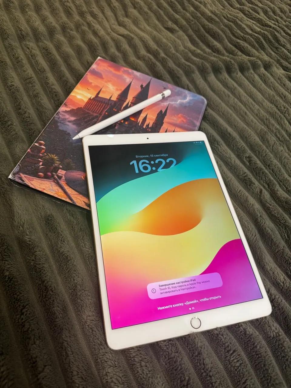 IPad Pro 10.5 64 ГБ с Apple Pencil Вождовац