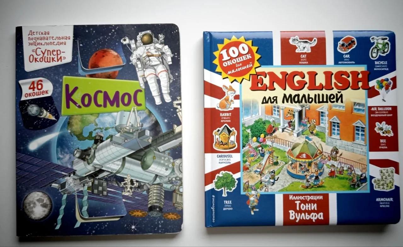 Детские книги с окошками три штуки