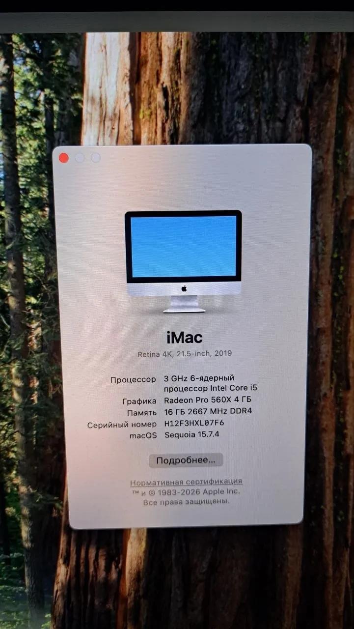 Моноблок iMac Retina 4K 21.5 дюйма 2019