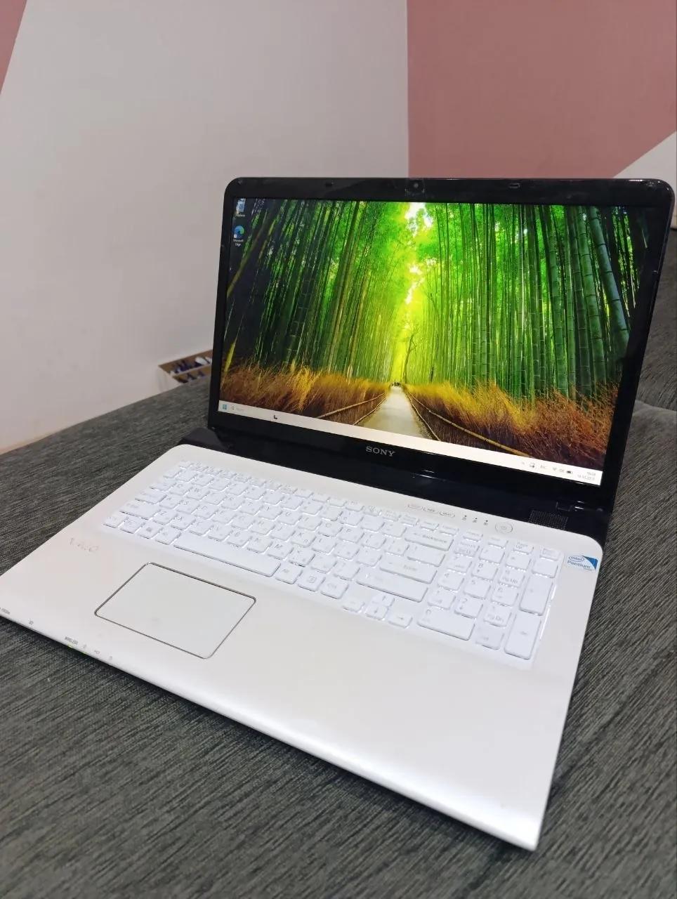 Ноутбук Sony Vaio SVE171 17 дюймов 16 ГБ