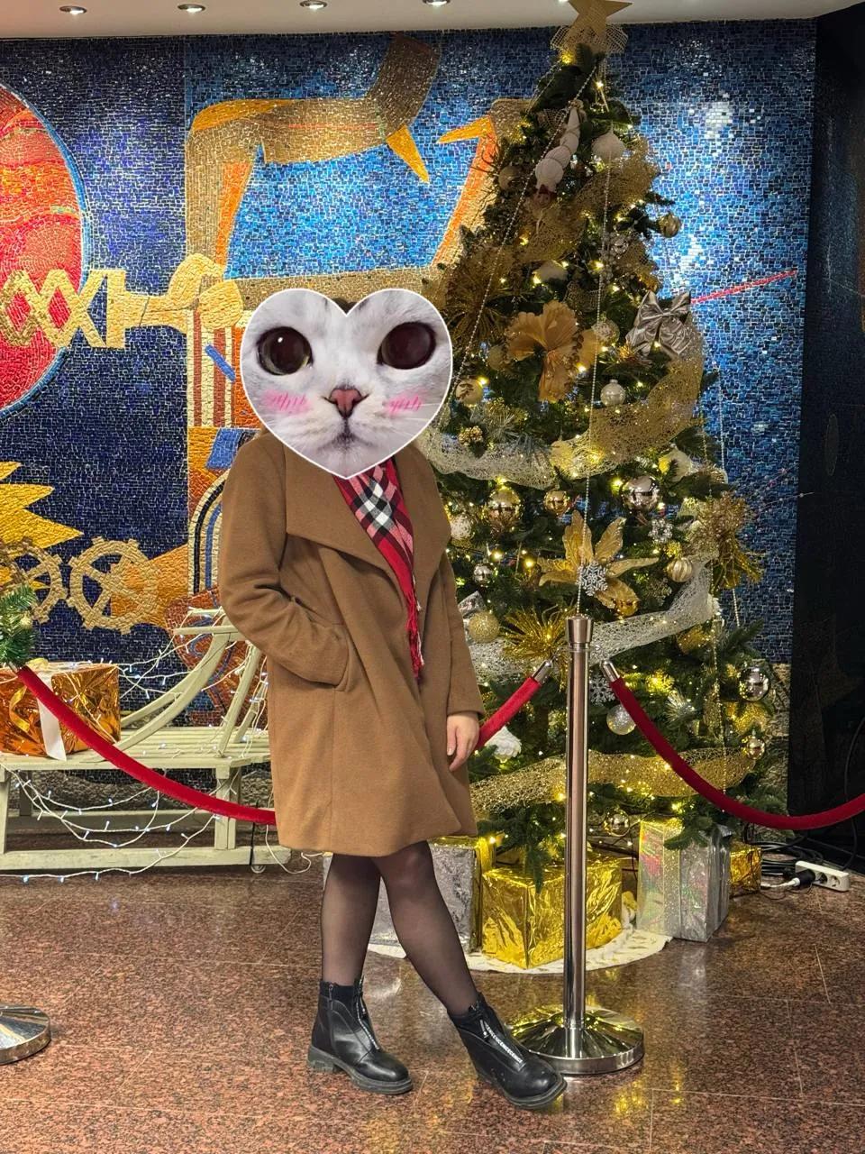 Женское пальто Reserved размер L