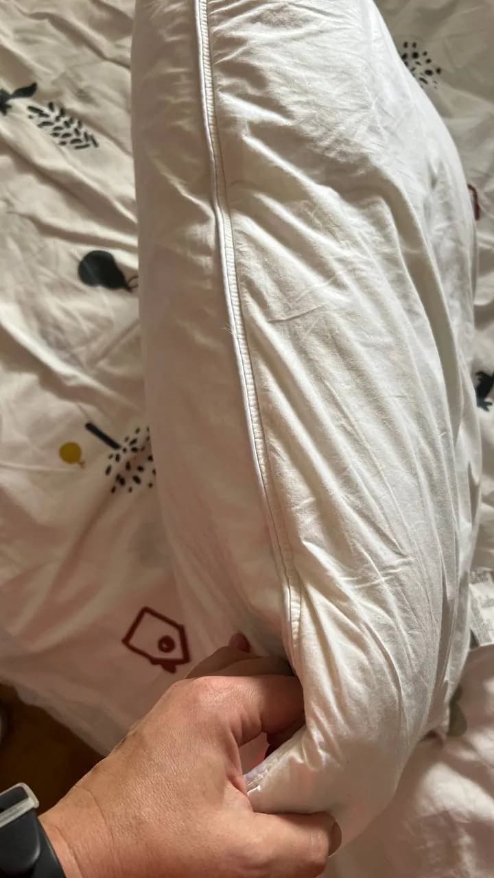 Подушки Zara Home 75x50 перо