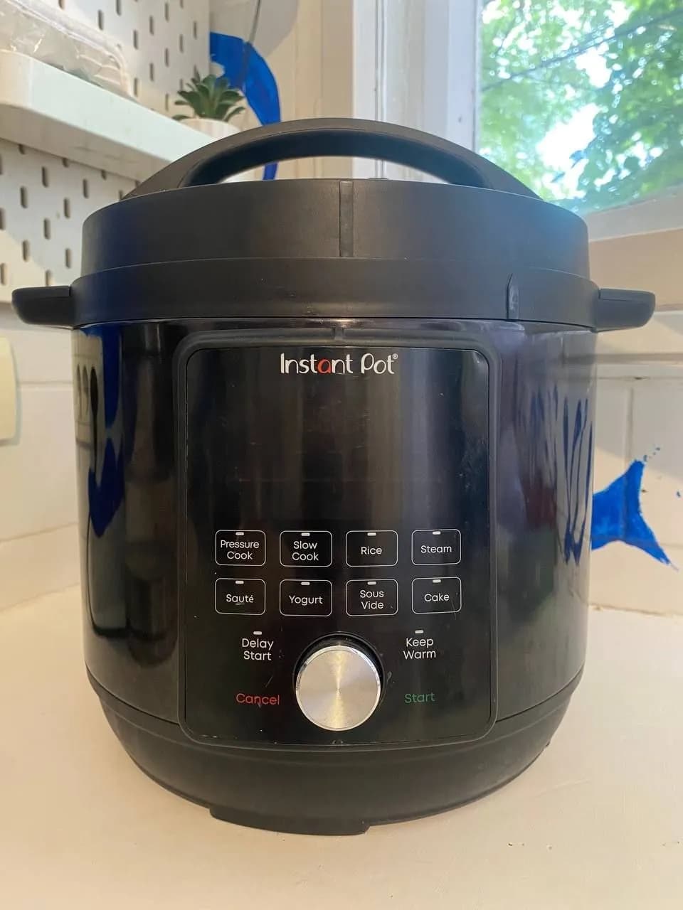 Мультиварка-скороварка Instant Pot DPPC604 5.7 л