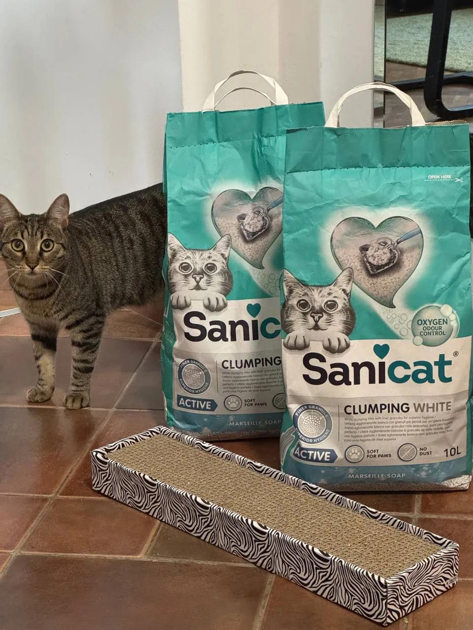 Наполнитель для кошачьего туалета Sanicat