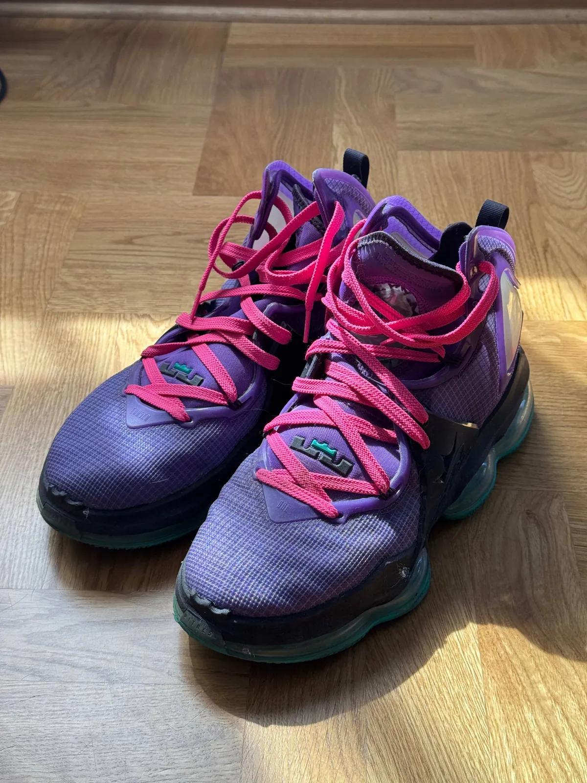 Баскетбольные кроссовки Nike LeBron 46