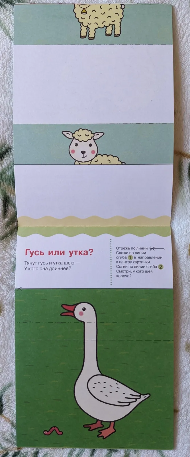 Развивающие альбомы и тетради для детей 2