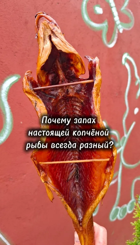 Миниатюра 10