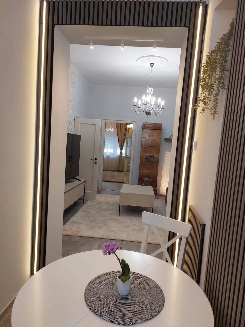 Аренда 3-комн. квартира 62 м², центр Белграда, 1 000 EUR/мес 3
