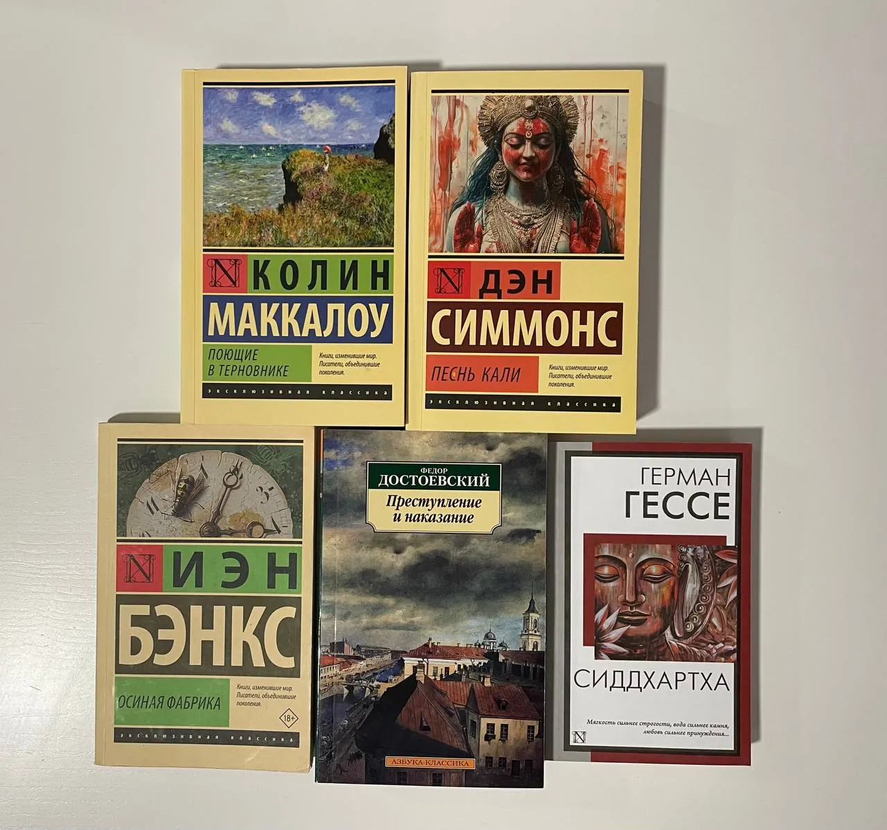 Книги Мрачный взвод Анна Каренина Тревожные люди и другие Лиман 3