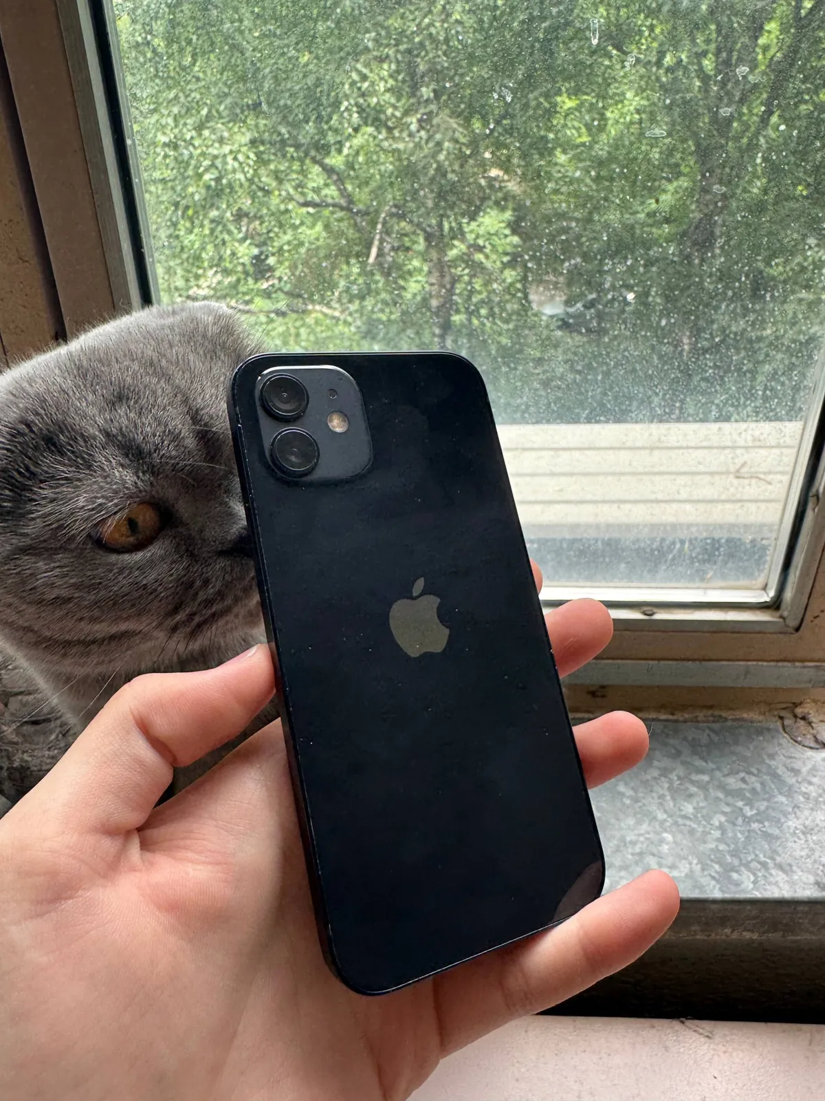 iPhone 12 64 ГБ АКБ 79% 2