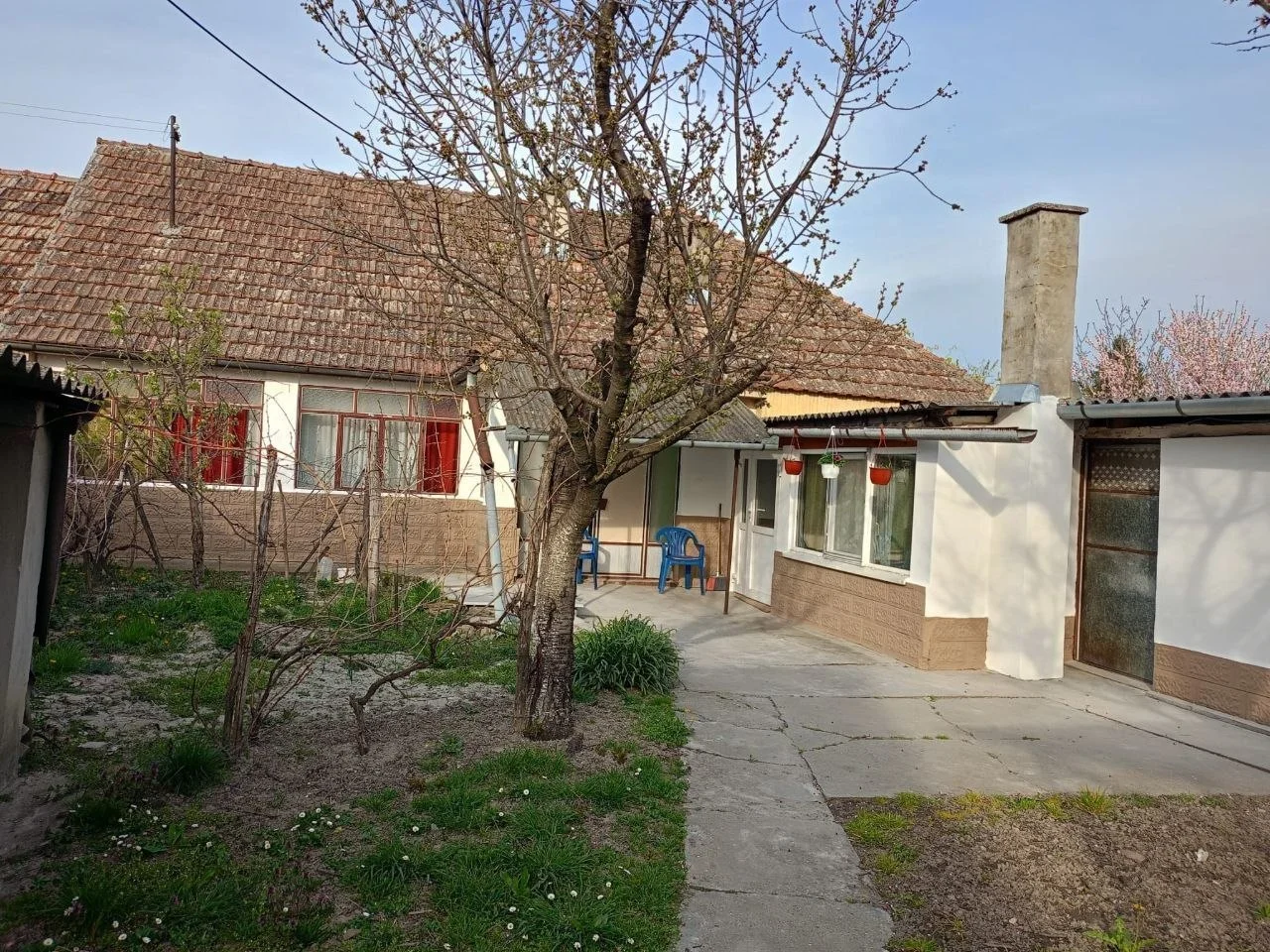 Продаётся дом в селе Сонта 1