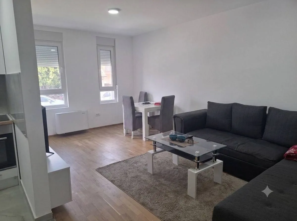 Квартира-студия аренда Zemun Polje 300 EUR 1