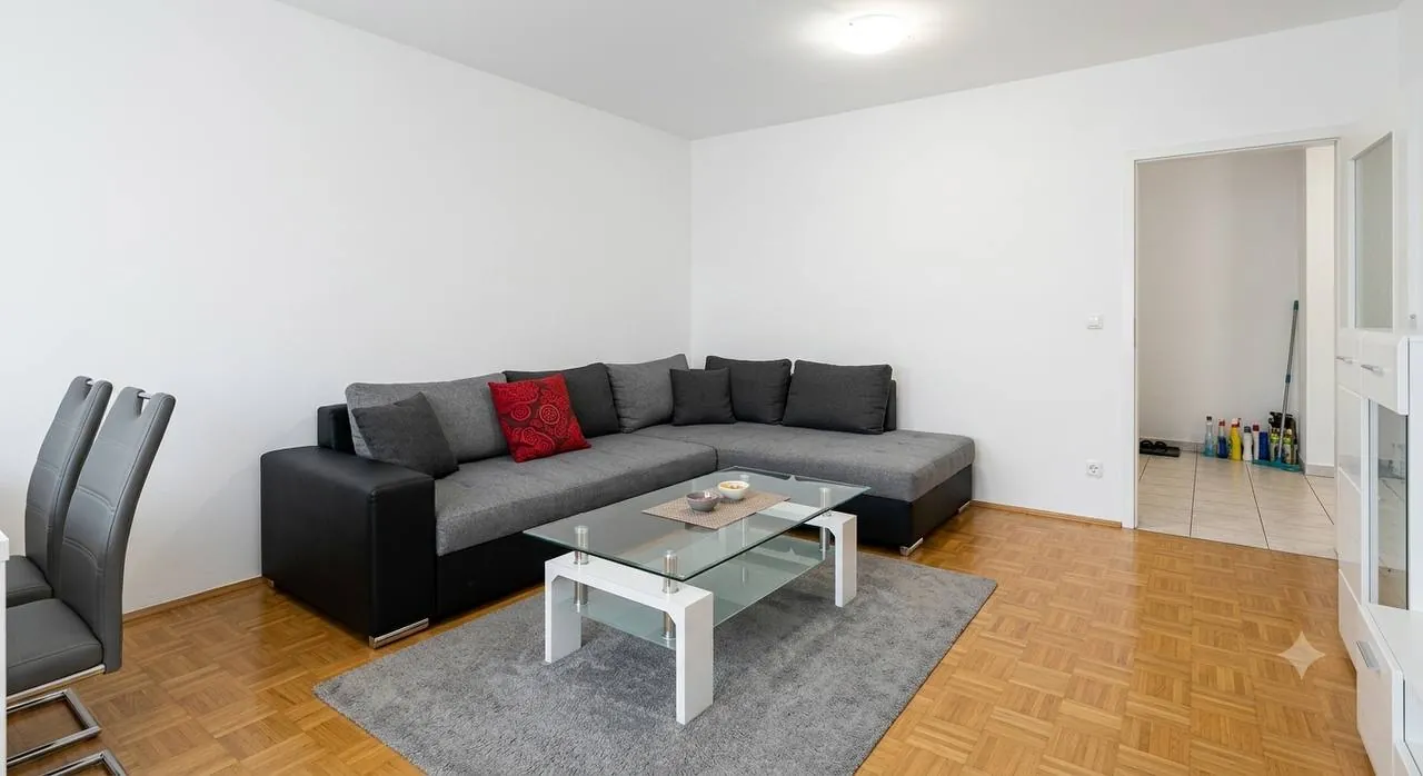 Квартира-студия аренда Zemun Polje 300 EUR 3