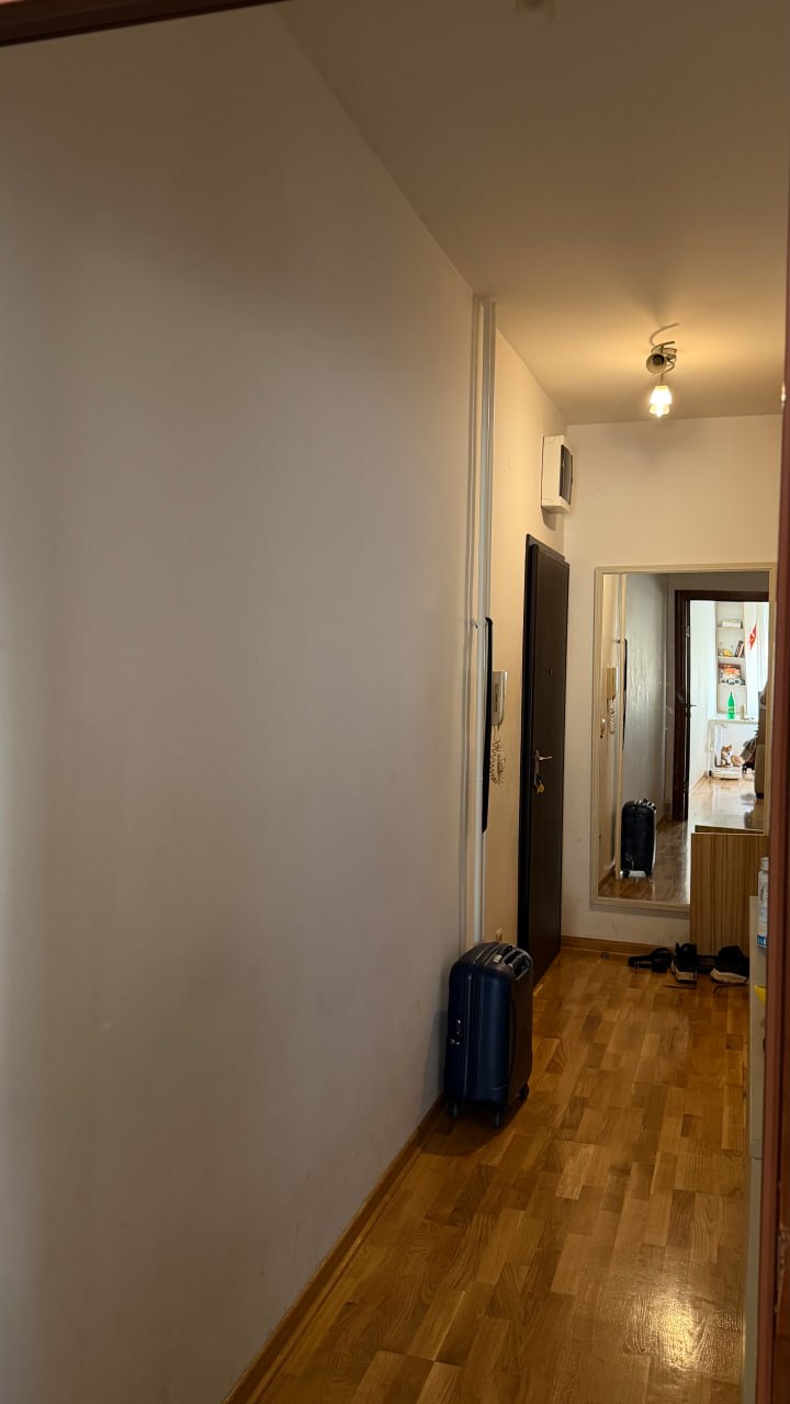 Евродвушка во Врачаре 2