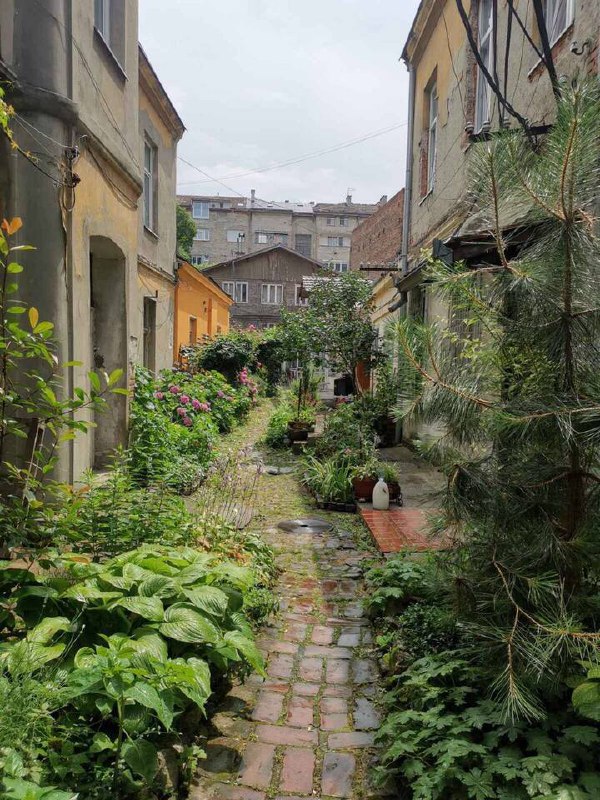 Студия с отдельным выходом 1