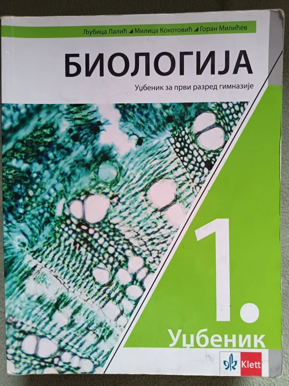 Миниатюра 5