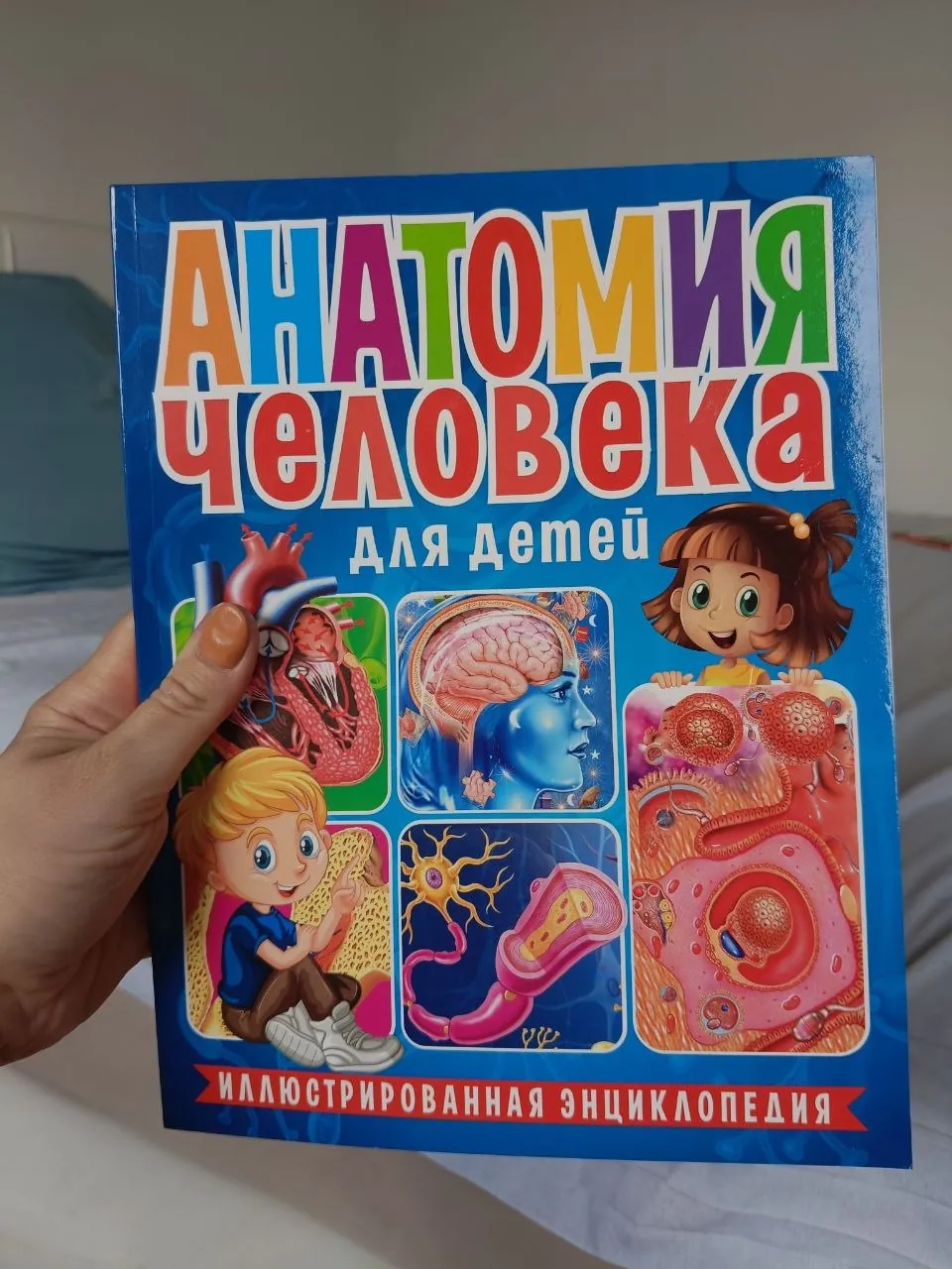 Пазлы и игрушки детские набор 8