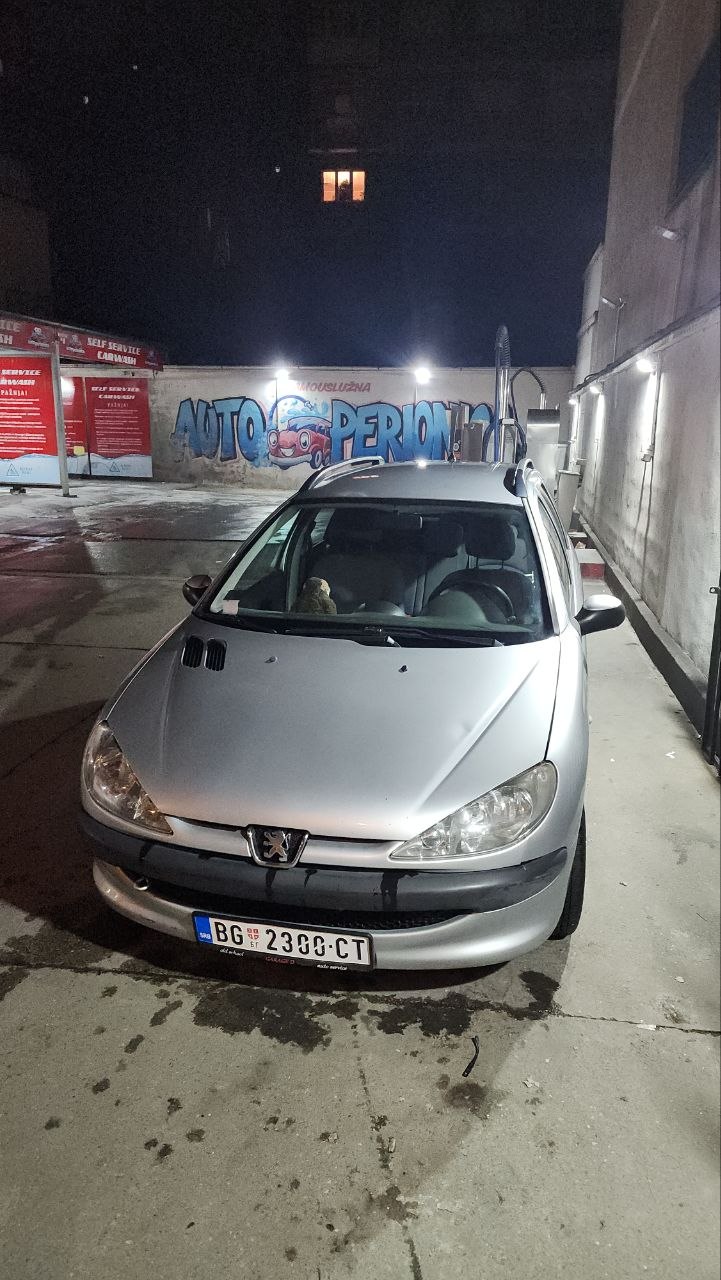 Peugeot 206 SW 2