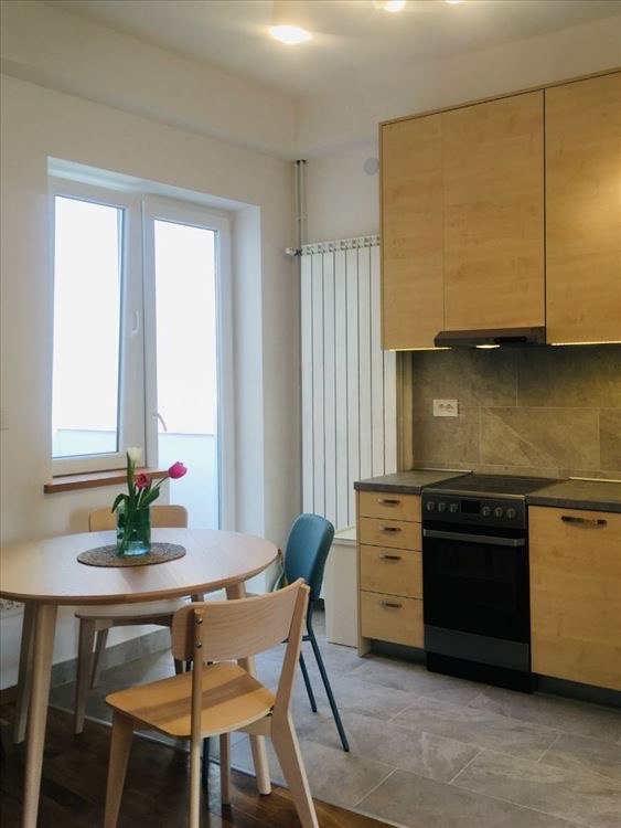 Сдаётся квартира в центре Нови Сада 7