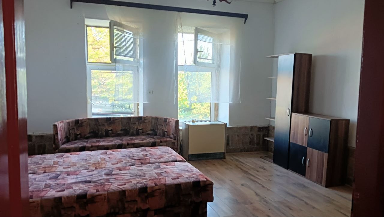 Просторный дом с виноградником 2