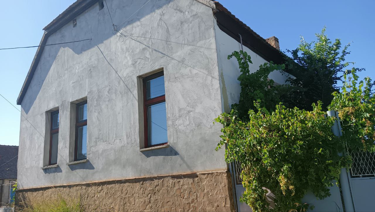 Просторный дом с виноградником 1