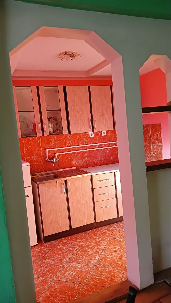 Просторный дом с виноградником 8