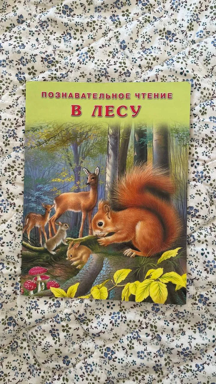 Миниатюра 8