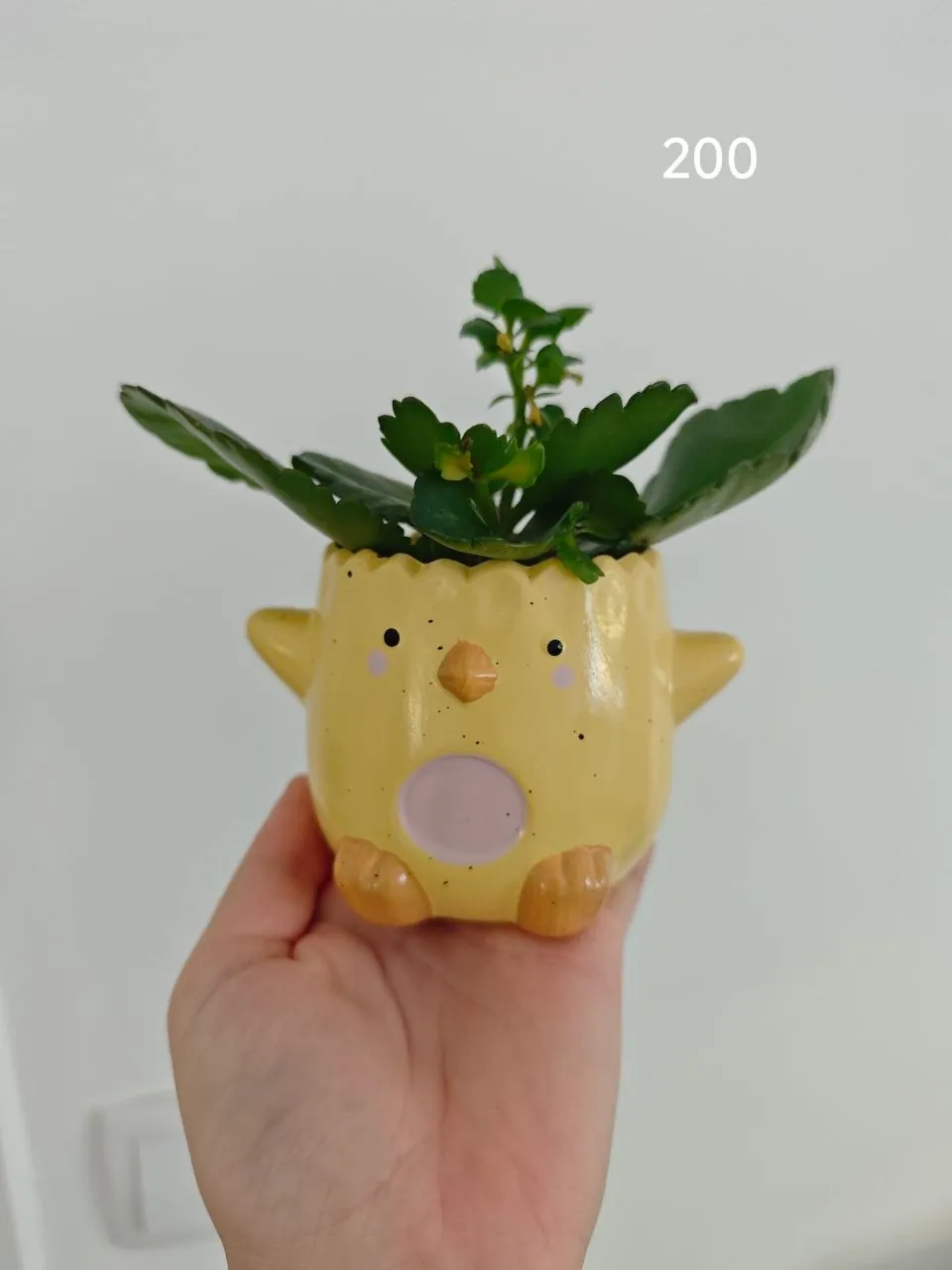 Миниатюра 6