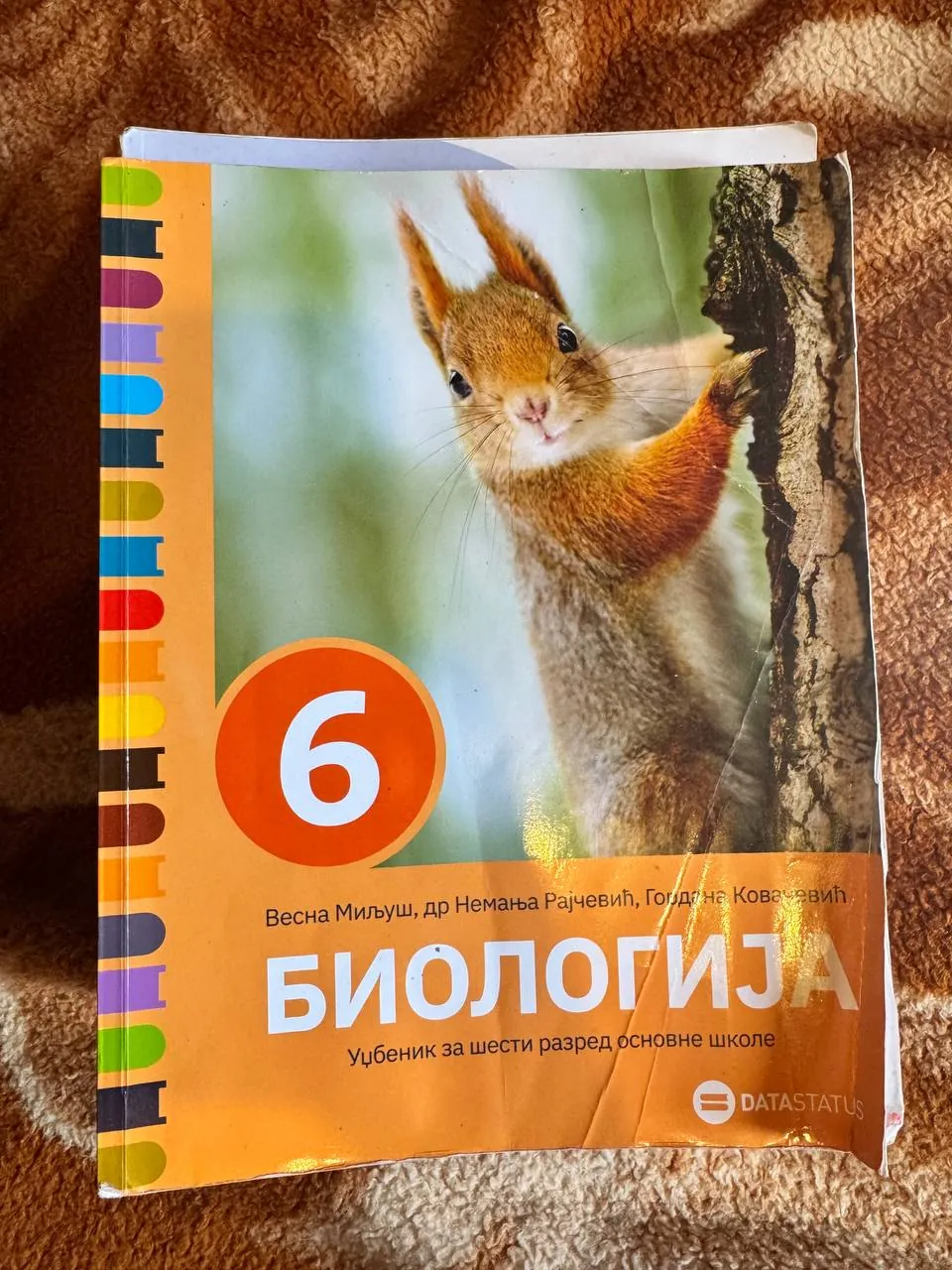Миниатюра 3